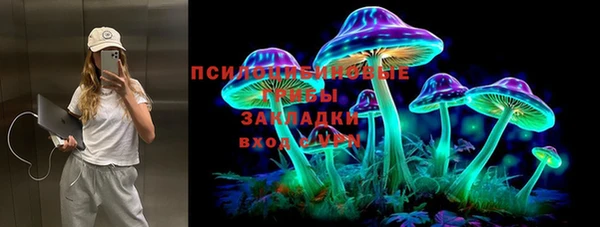 mdma Богородицк