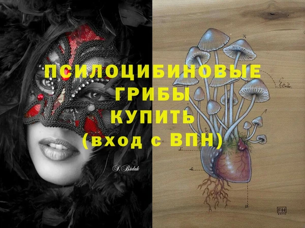 mdma Богородицк
